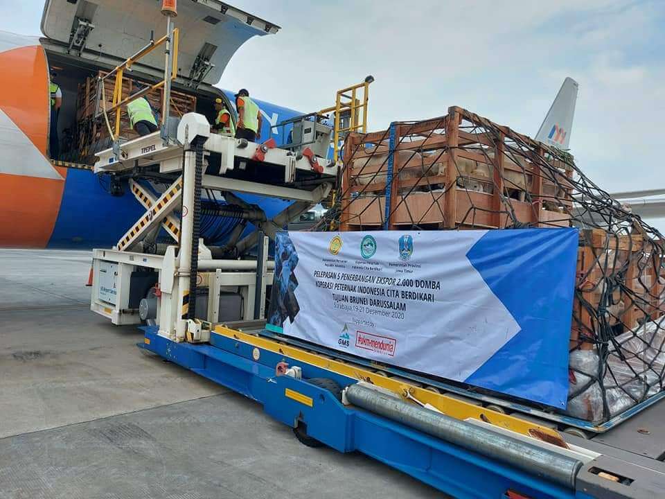 jasa pengiriman cargo udara, jasa pengiriman cargo udara internasional, jasa pengiriman cargo udara domestik, jasa pengiriman cargo udara internasional murah, jago logistik